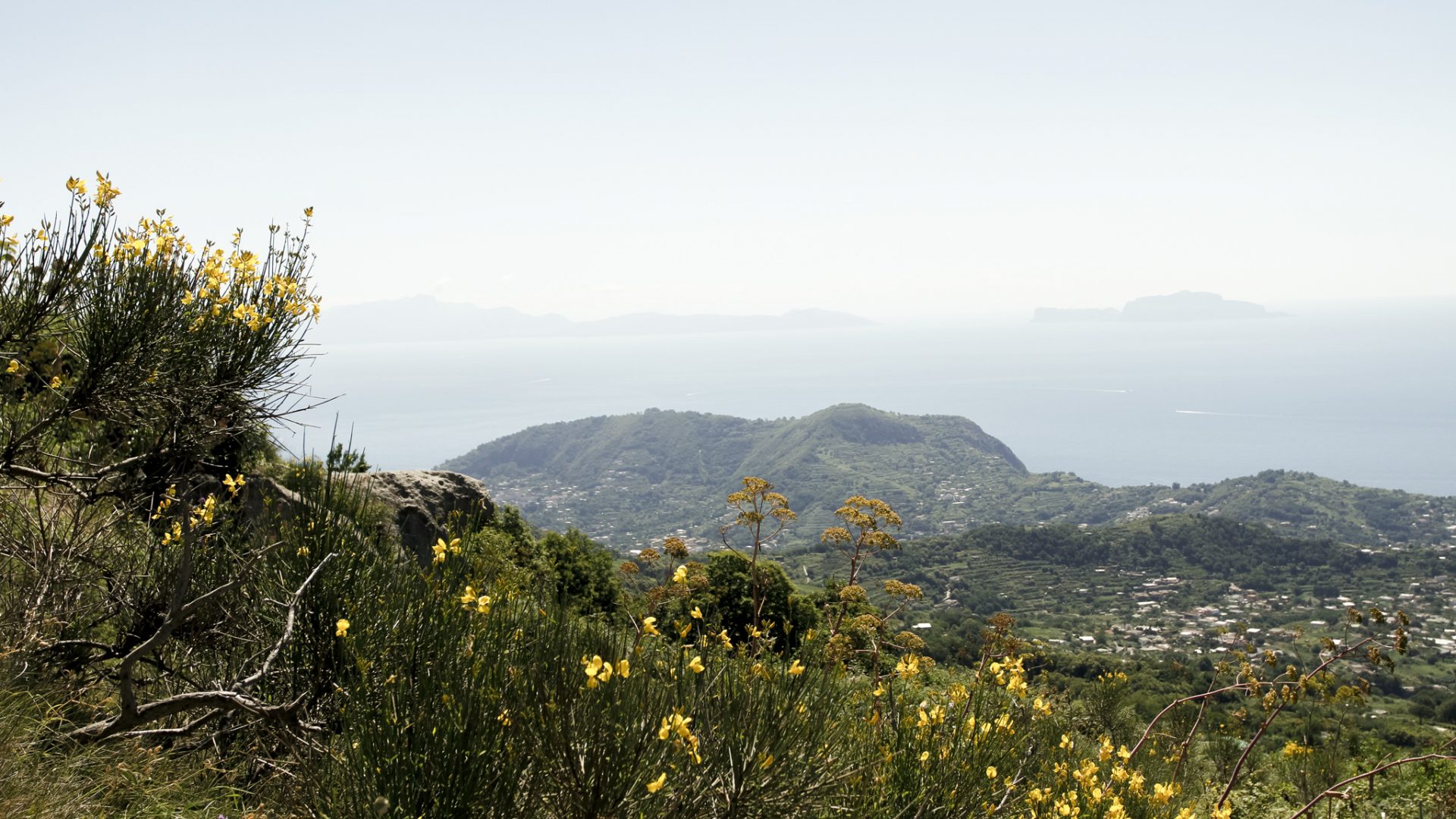 PhotoFoundry | One to One Photography Courses in South East